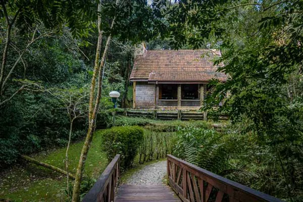 המכשפה הרעה מסיפור עמי ותמי סיפור קטן